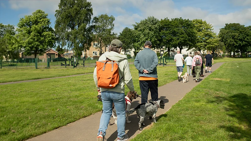 Social Walk – An die Leine, fertig, los!